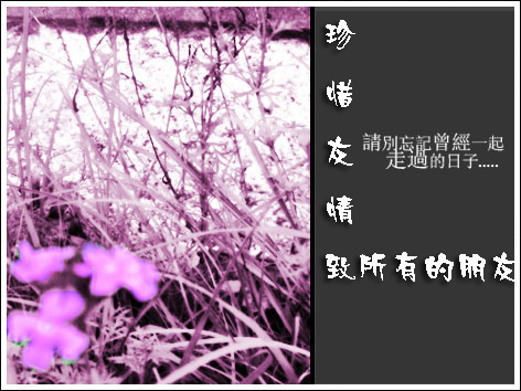 作文:友情无疑是场闹剧。-初中作文-小荷作文网