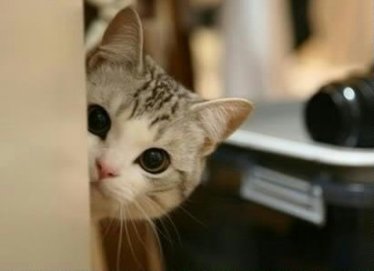 作文:有你,我的年华不寂寞-初中作文-小荷作文网