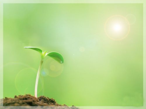 第一届萌芽网络征文大赛赛徽-图片素材-论坛