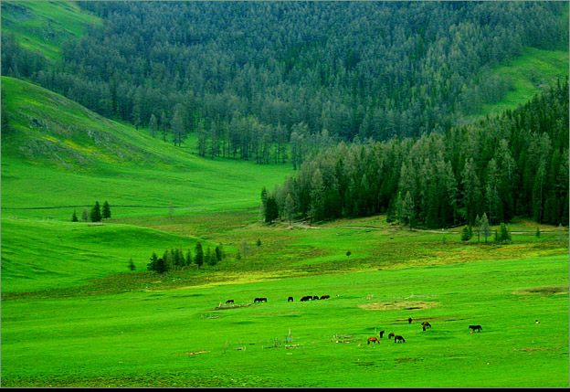 作文:《我》--自传-初中作文-小荷作文网