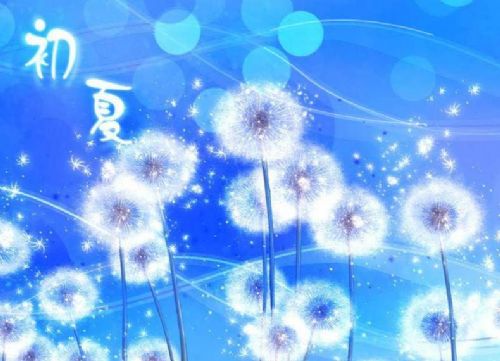 蒲公英的阳光-初中作文-小荷作文网