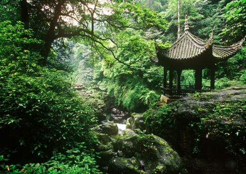 作文:走进大自然-初中作文-小荷作文网