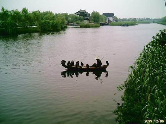 作文:常熟,我的故乡系列习作(6)--情系沙家浜,共