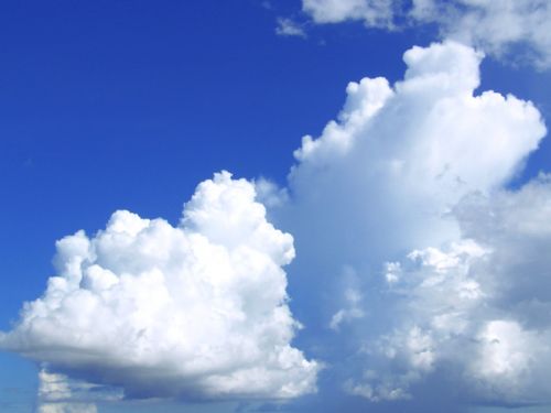 作文:我是一片云-小学作文-小荷作文网