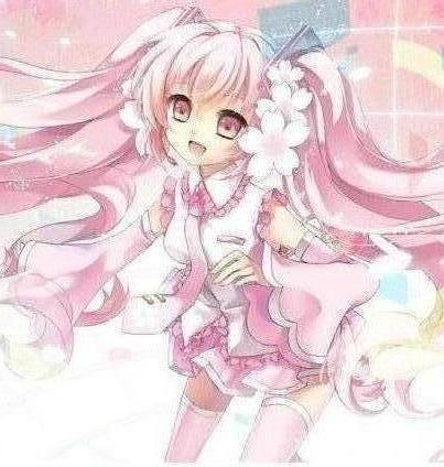 美脊康安卓版