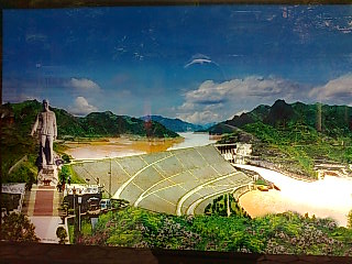 有人有活APP
